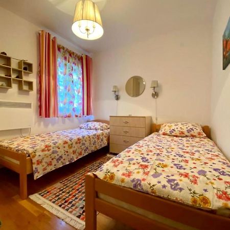 Apartment Liza Petrovac 외부 사진
