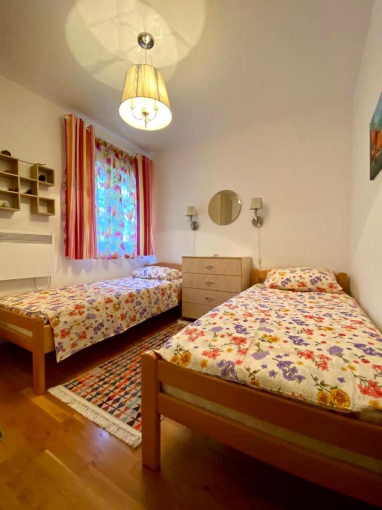 Apartment Liza Petrovac 외부 사진