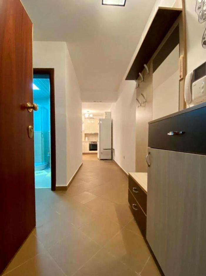 Apartment Liza Petrovac 외부 사진