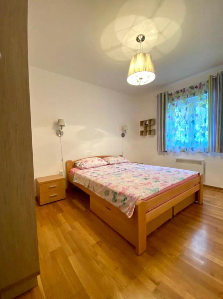 Apartment Liza Petrovac 외부 사진