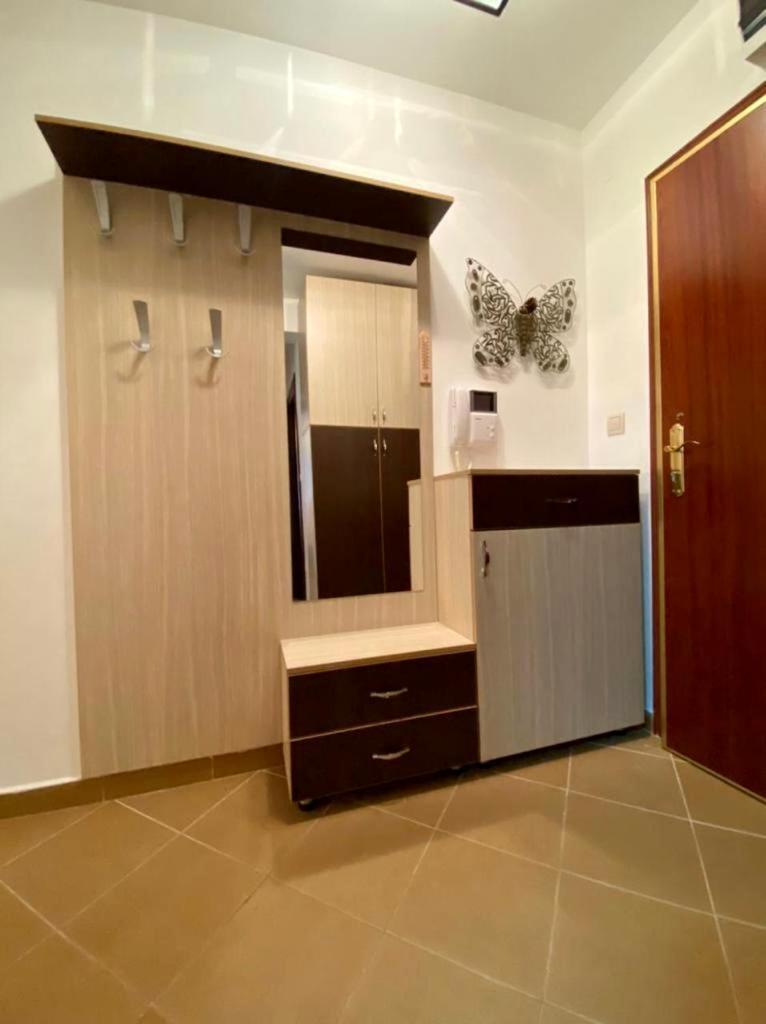Apartment Liza Petrovac 외부 사진