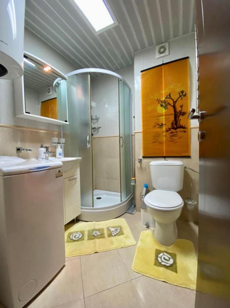 Apartment Liza Petrovac 외부 사진