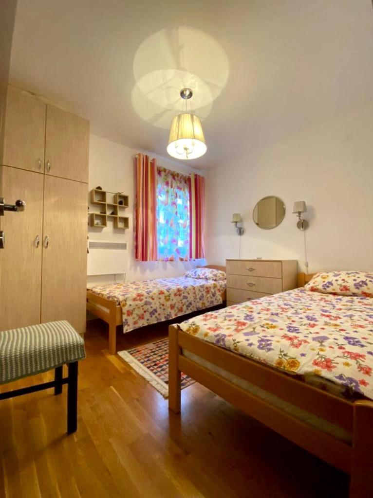 Apartment Liza Petrovac 외부 사진