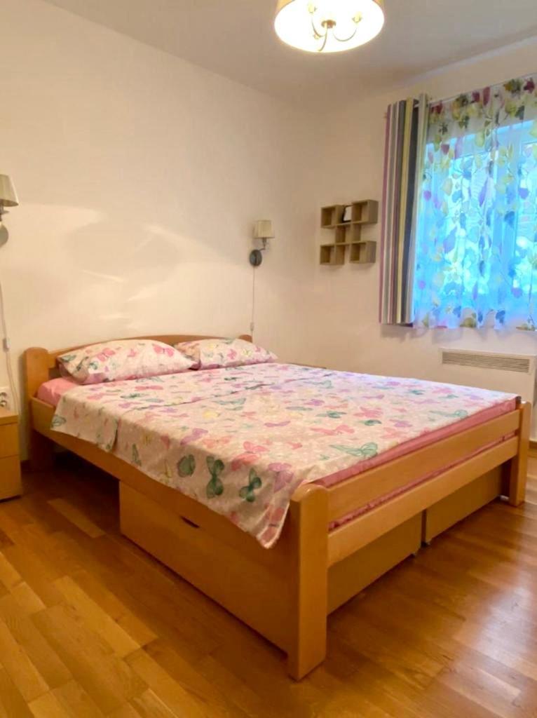 Apartment Liza Petrovac 외부 사진